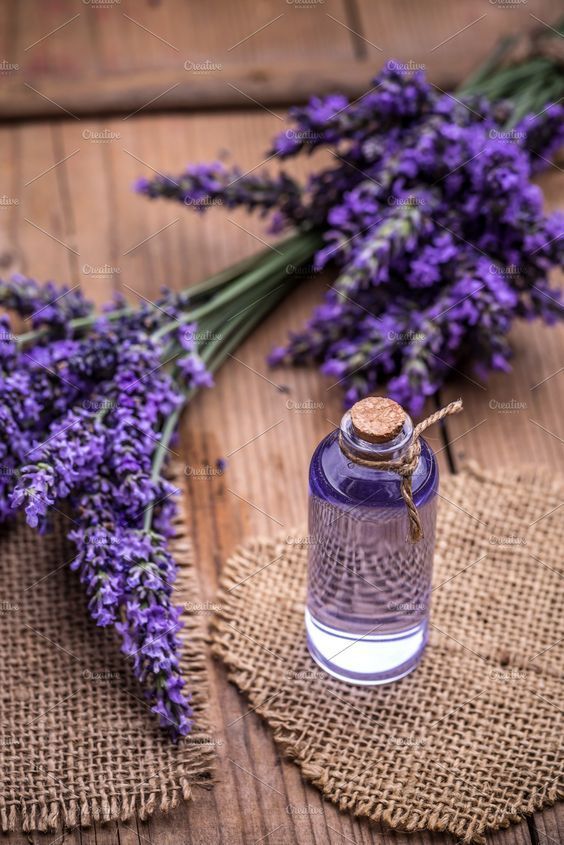 عرق اسطوخودوس ابرار با تصویر گیاه اسطوخودوس 