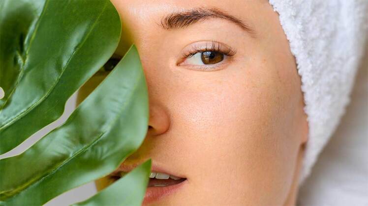 بررسی گیاهان برای کلاژن سازی | نحوه استفاده از گیاهان کلاژن ساز 