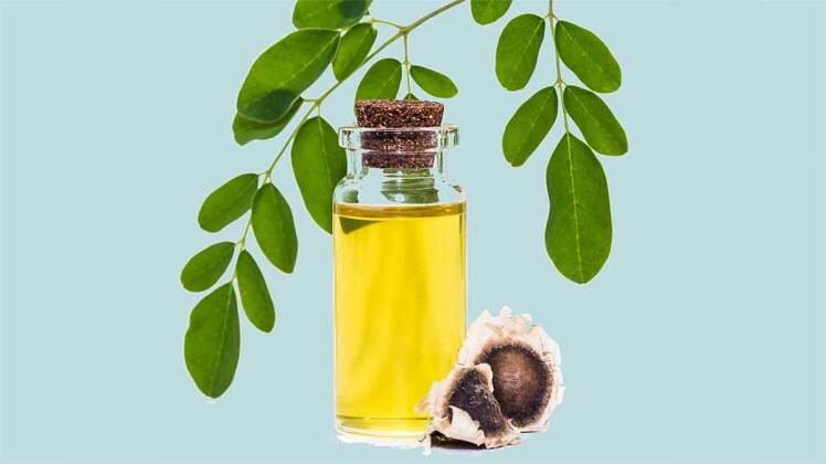 مزایای روغن مورینگا چیست | نحوه استفاده از روغن مورنگا