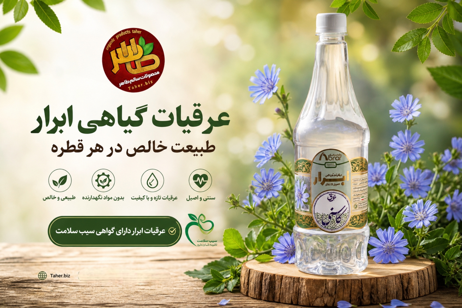 کاهش حرارت بدن با عرق کاسنی ابرار 