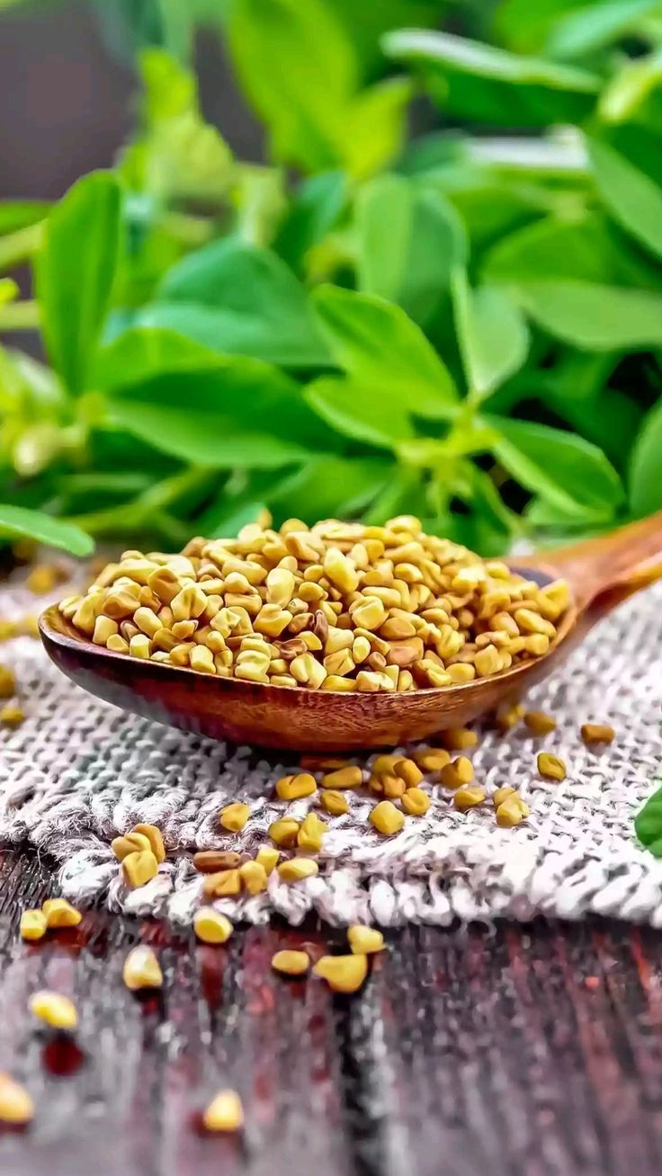 خرید عرق شنبلیله ابرار اصل